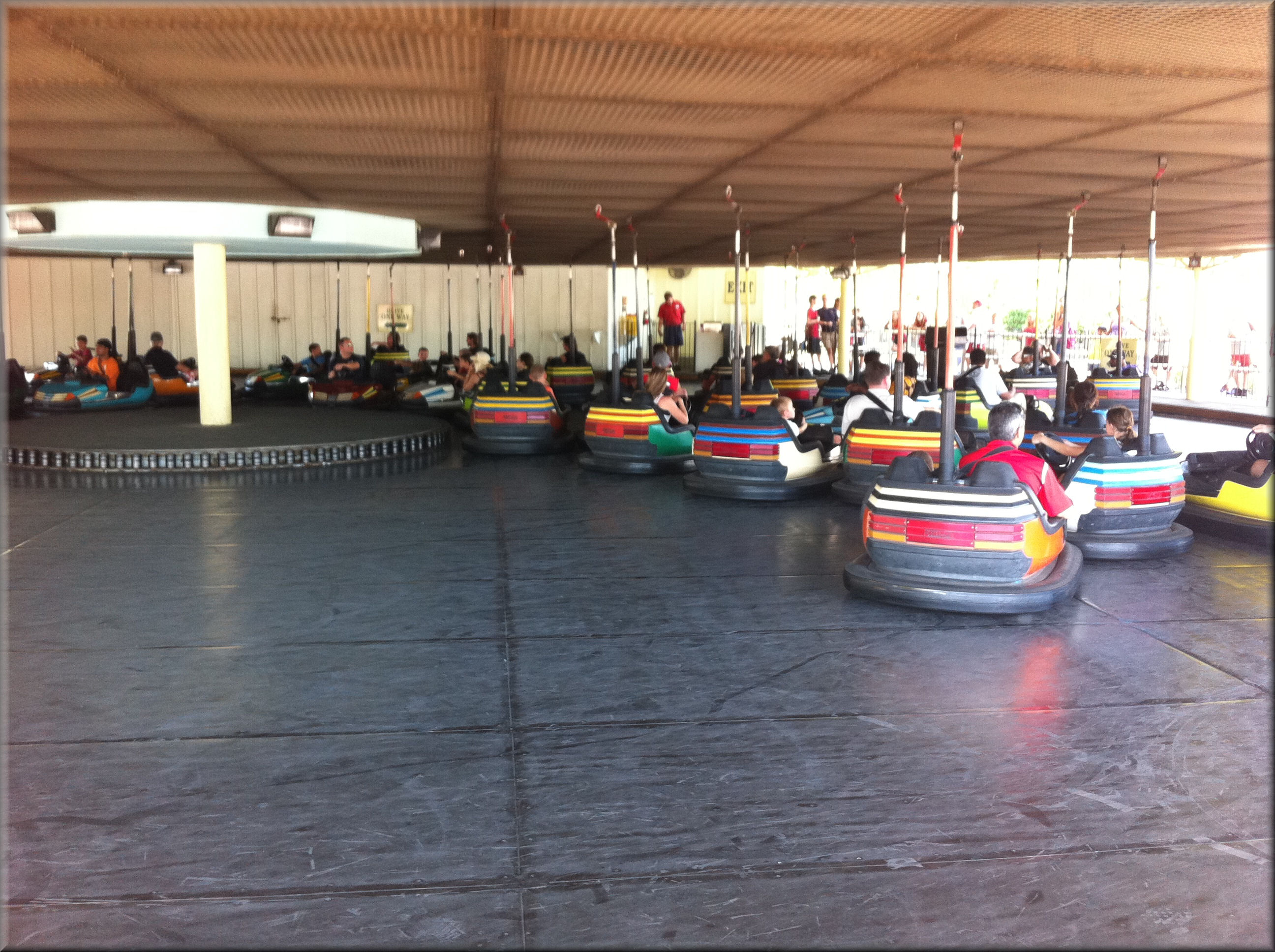 kings island bumper cars